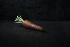 Charly CARDUNER - Visual Light