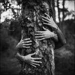 Jean-Baptiste PETER - JIB PETER PHOTOGRAPHE