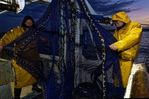 Patrice OLIVIER - PATRICE OLIVIER