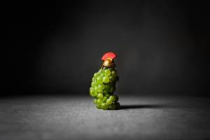 Jean-Baptiste PETER - JIB PETER PHOTOGRAPHE