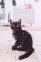 Marion LAVEAU - Marion Laveau Photographe